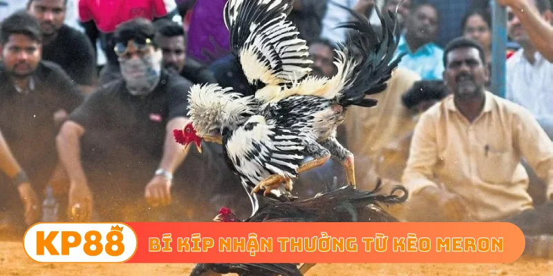 Bí kíp nhận thưởng từ kèo Meron